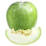 ash gourd exporters india