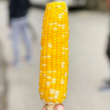 Baby Corn exporters from india