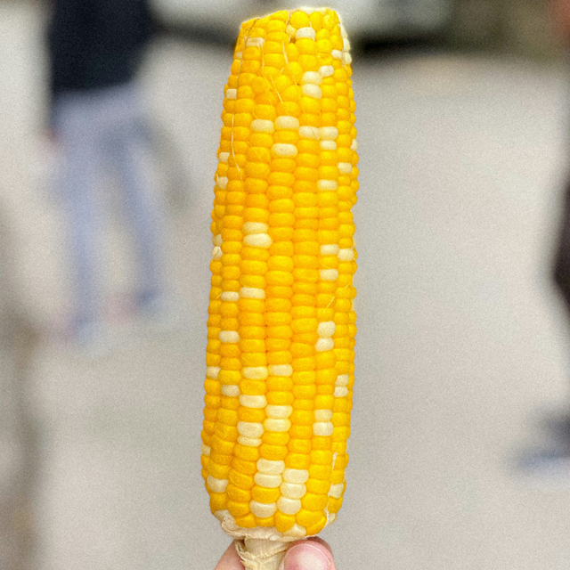 Baby Corn exporters from india