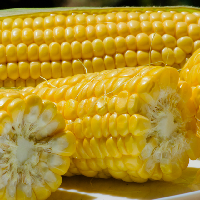 Baby Corn exporters from india