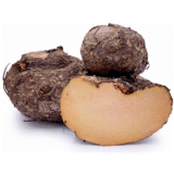 Elephant Foot Yam exporters from india