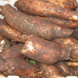 Tapioca exporters from india