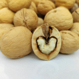Mamra Almond (Organic Almond) exporters from india