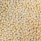 whole urad white exporters