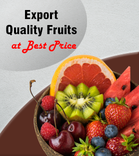 lerar group exporters from india