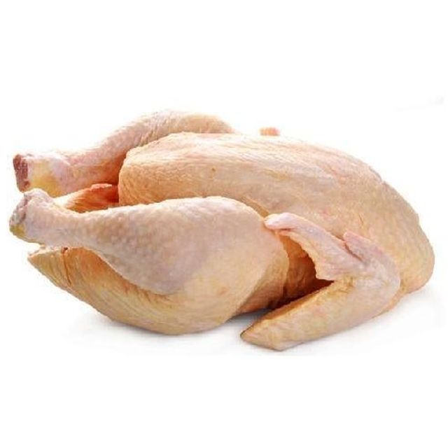 broiler chicken exporters
