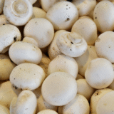 mushroom exporters from india