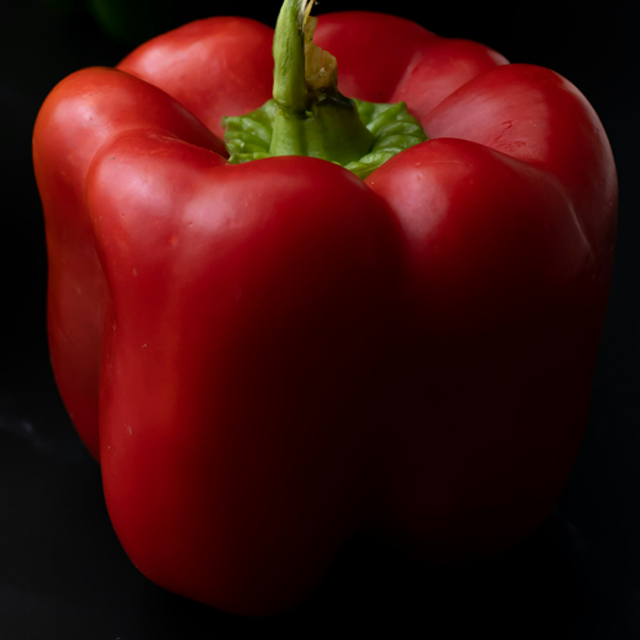 Capscium exporters from india