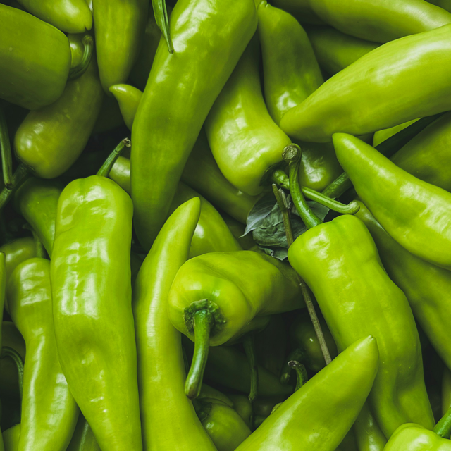 chilli green exporters from india
