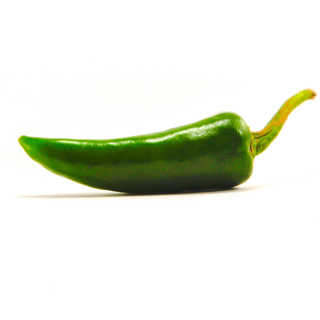 chilli green exporters from india