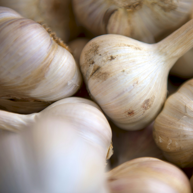 garlic exporters from india