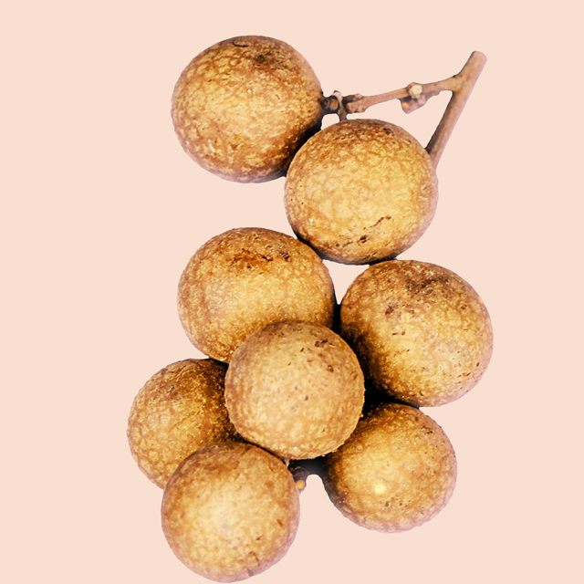 Longan Exporters from India