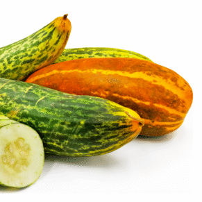 Malabar cucumber exporters from india
