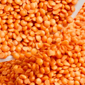masoor dal exporters