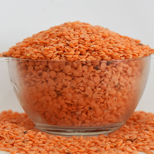 Masoor Dal - Image 2