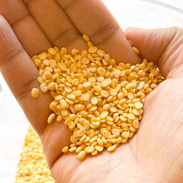 moong dal exporters india