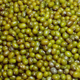 moong whole exporters from india