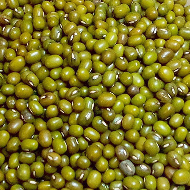 moong whole exporters from india