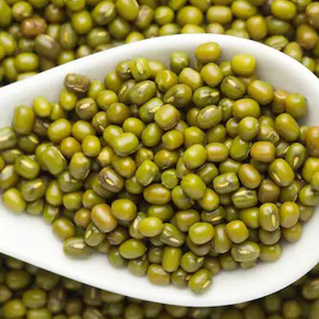 moong whole exporters from india