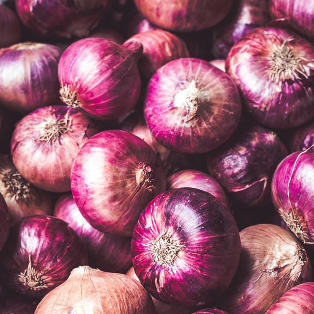 Onion Exporters from India