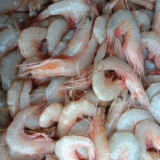 sea white shrimp exporters