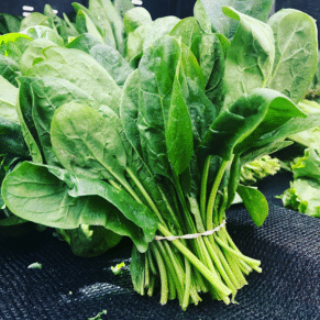 Spinach leaves exporters from india