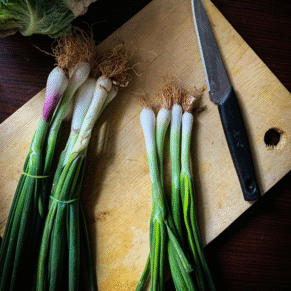 spring onion exporters from india