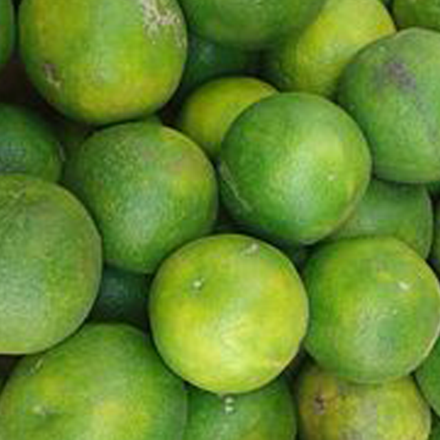 Sweet Lime - Image 2