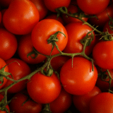 Tomato Exporters from India