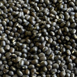 Urad Black Exporters india