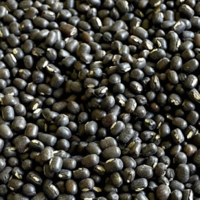 Urad Black Exporters india
