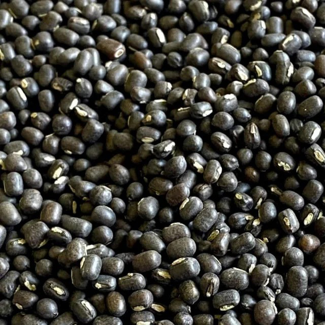 Urad Black Exporters india