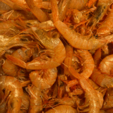 Vanmmie Shrimp Exporters from India