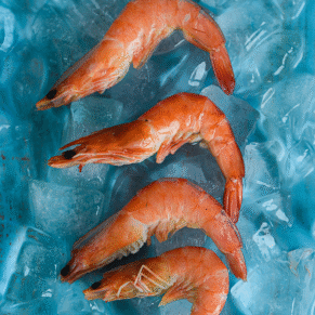 Vanmmie Shrimp Exporters from India