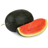Water Melon Exporters from India