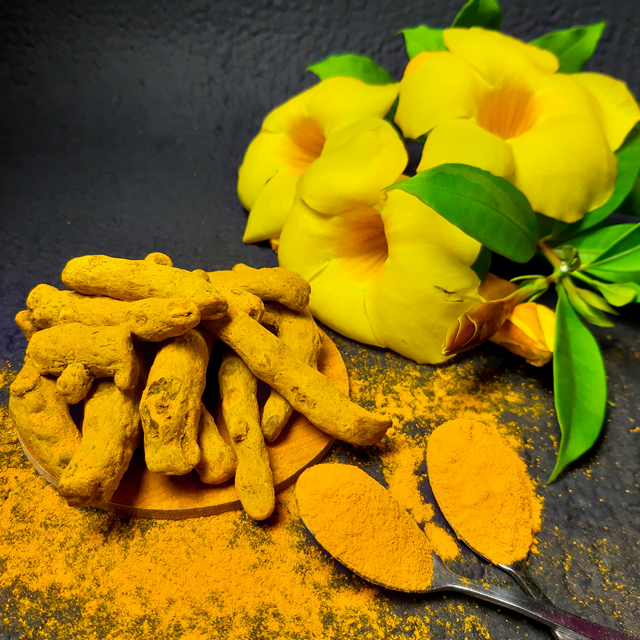 Turmeric Fingers